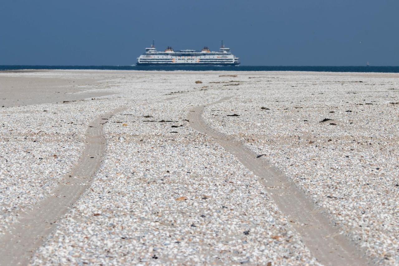 Bed En Bike Strunen Op Texel Den Burg Exteriér fotografie